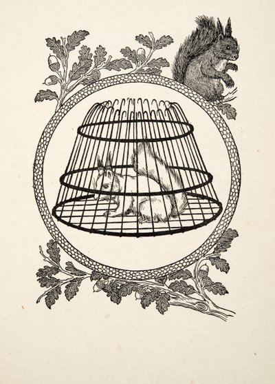 En flyktingekorre, från Hundra anekdoter av djur, pub. 1924 av Percy J. Billingshurst