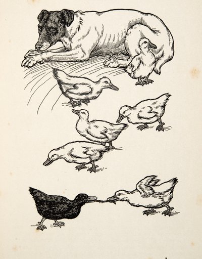 A Singular Foster-Mother, från A Hundred Anecdotes of Animals, pub. 1924 av Percy J. Billingshurst