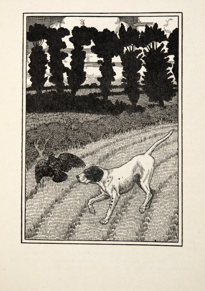 Deceiving the Fowler, från A Hundred Anecdotes of Animals, pub. 1924 av Percy J. Billingshurst