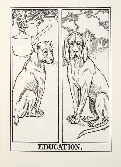 Education, från Fontaine Fables, pub. 1905 av Percy J. Billingshurst