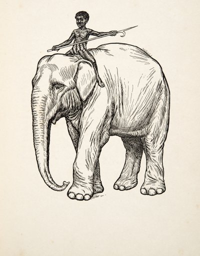 Ånger, från Hundra anekdoter av djur, pub. 1924 av Percy J. Billingshurst