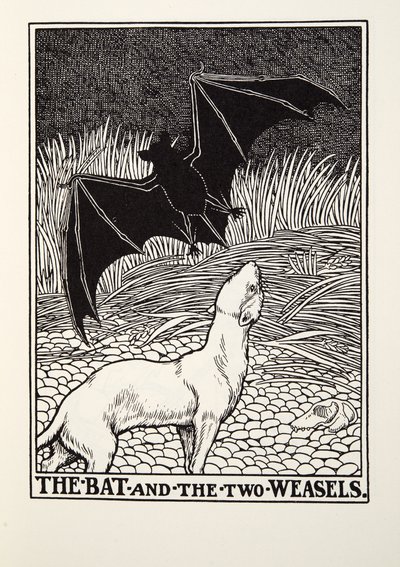Fladdermusen och de två vesslorna, från Fontaine Fables, pub. 1905 av Percy J. Billingshurst
