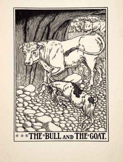 Tjuren och geten, från Aesops hundra fabler, pub.1903 (gravyr) av Percy J. Billingshurst
