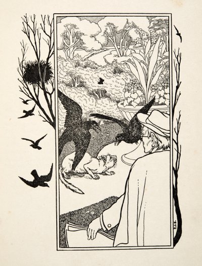 Katten och kråkorna, från Hundra anekdoter av djur, pub. 1924 (gravyr) av Percy J. Billingshurst