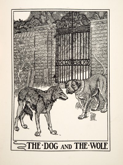 Hunden och vargen, från Aesops hundra fabler, pub.1903 (gravyr) av Percy J. Billingshurst