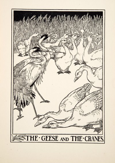 Gässen och tranorna, från Aesops hundra fabler, pub.1903 av Percy J. Billingshurst
