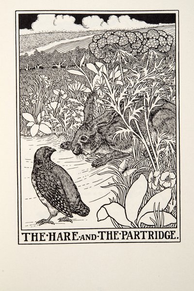 Haren och rapphönan, från Fontaine Fables, pub. 1905 av Percy J. Billingshurst