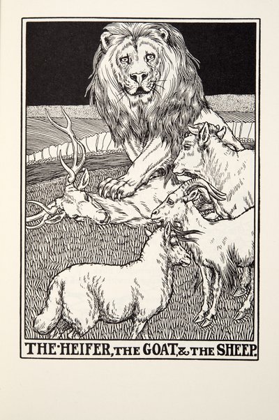 Kvigan, geten och fåret, från Fontaine Fables, pub. 1905 av Percy J. Billingshurst