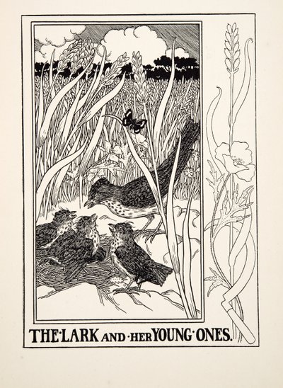 The Lark and her Young Ones, från A Hundred Fables of Aesop, pub.1903 (gravyr) av Percy J. Billingshurst