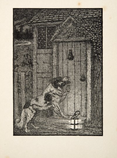 Newfoundland Dog, från Hundra anekdoter av djur, pub. 1924 av Percy J. Billingshurst