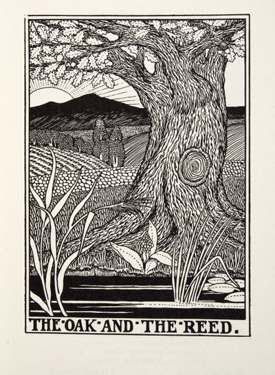 The Oak and the Reed, från Fontaine Fables, pub. 1905 av Percy J. Billingshurst
