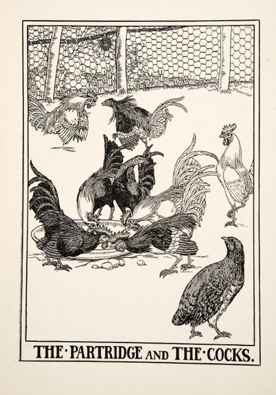 Partridgen och tupparna, från Aesops hundra fabler, pub.1903 av Percy J. Billingshurst