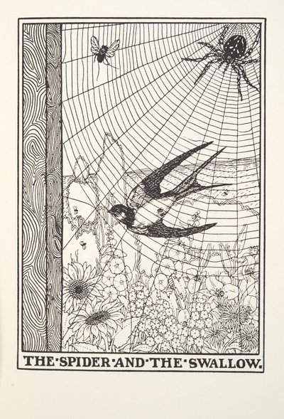 Spindeln och svalan, från Fontaine Fables, pub. 1905 av Percy J. Billingshurst