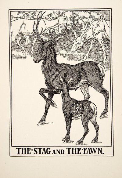 The Stag and the Fawn, från A Hundred Fables of Aesop, pub.1903 av Percy J. Billingshurst