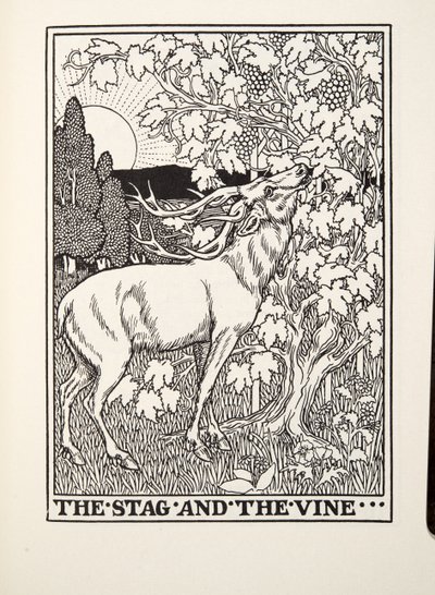 The Stag and the Vine, från Fontaine Fables, pub. 1905 av Percy J. Billingshurst