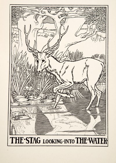 The Stag looking into the Water, från A Hundred Fables of Aesop, pub.1903 (gravyr) av Percy J. Billingshurst