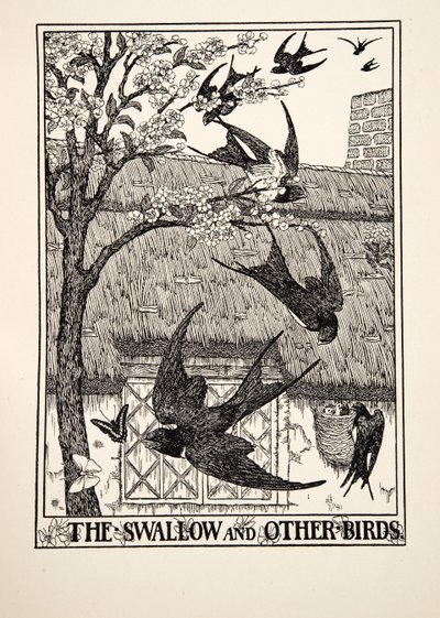Svalan och andra fåglar, från Aesops hundra fabler, pub.1903 av Percy J. Billingshurst