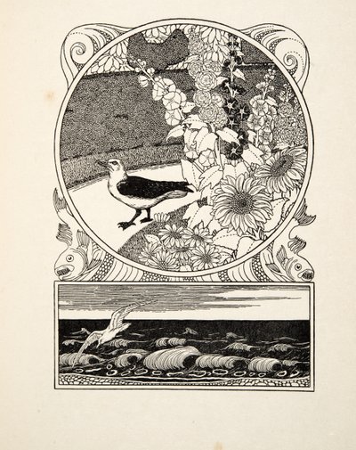 Den tama måsen, från A Hundred Anecdotes of Animals, pub. 1924 (gravyr) av Percy J. Billingshurst