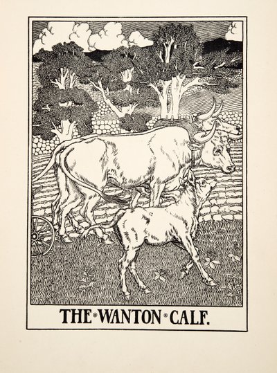 The Wanton Calf, från A Hundred Fables of Aesop, pub.1903 av Percy J. Billingshurst