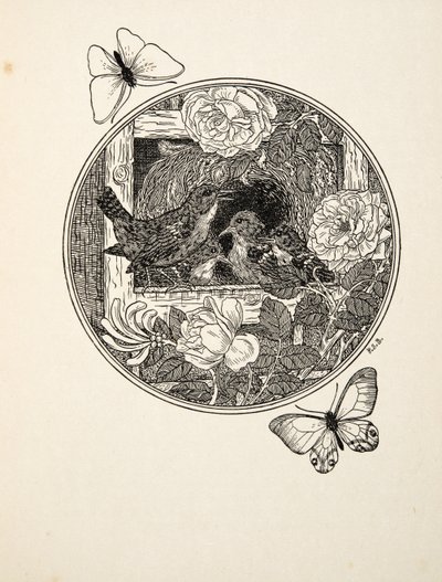 Gärdsmyg som lär sig sjunga, från A Hundred Anecdotes of Animals, pub. 1924 av Percy J. Billingshurst