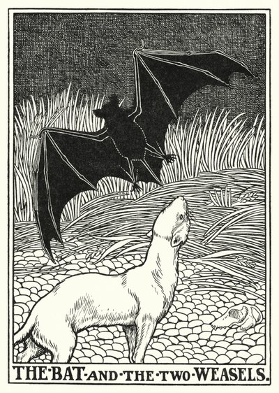 Fables of La Fontaine: Fladdermusen och de två vesslorna (litho) av Percy James Billinghurst