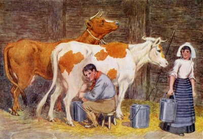 Mjölkningstid (färg litho) av Percy James Billinghurst