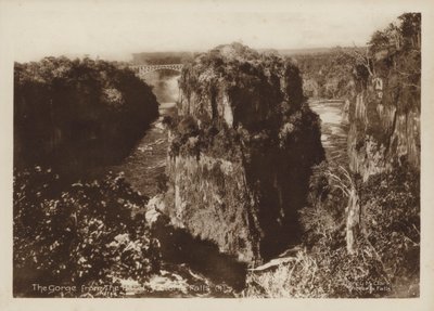 The Gorge from the Hotel, Victoria Falls (s/v foto) av Percy M. Clark