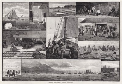 Fiskeindustrier, ostronmuddring (gravyr) av Percy Robert Craft