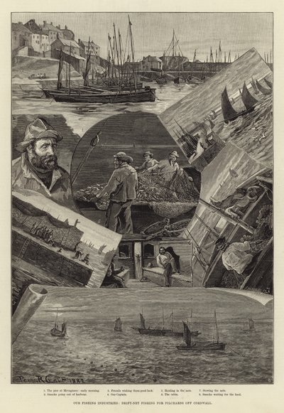 Våra fiskeindustrier: Drivnätsfiske efter pilchards utanför Cornwall av Percy Robert Craft