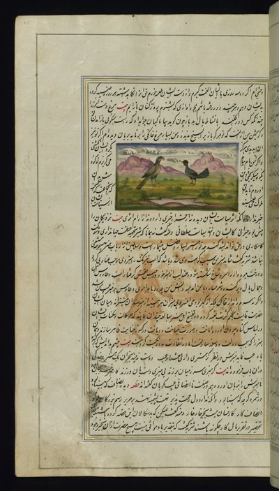 En hök och en höna från Lights of Canopus av Persian School