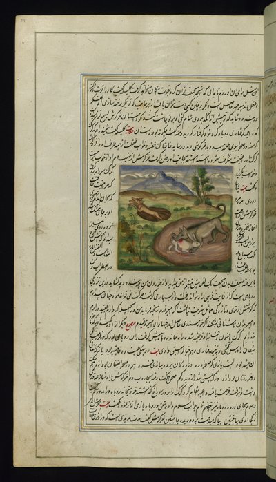 En schakal slukar en hare från Lights of Canopus, 1847 av Persian School