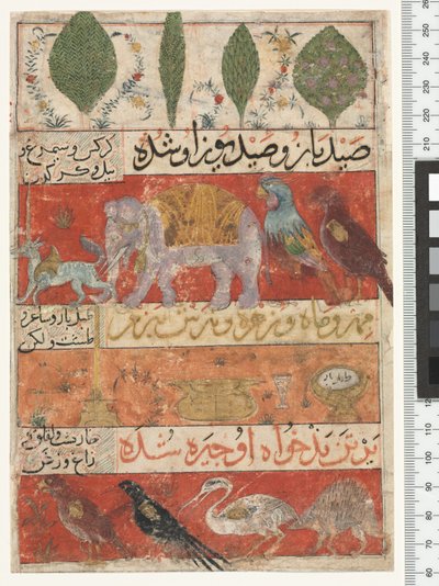 Djur, fåglar och växter, Ilkhanidperioden, 1341 av Persian School