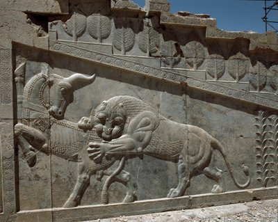 Kampen mellan en tjur och ett lejon - Reliefer av den östra trappan i Apadana, 600-talet f.Kr. av Persian School