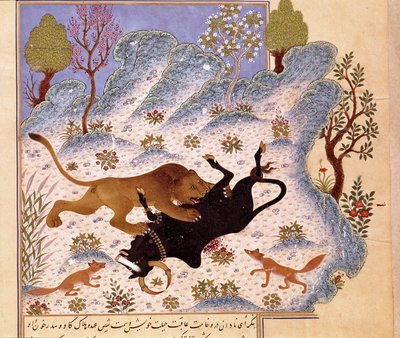 Lejon attackerar en tjur Page of a Kalila och Dimna av Persian School