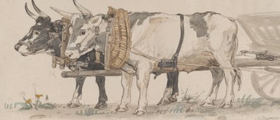 Två oxar som drar en vagn, 1874. av Peter Christian Thamsen Skovgaard