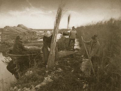 Under skörden av rörflen, liv och landskap på Norfolk Broads, ca 1886 av Peter Emerson und Thomas Goodall
