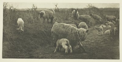 A Pastoral March (Suffolk) av Peter Henry Emerson