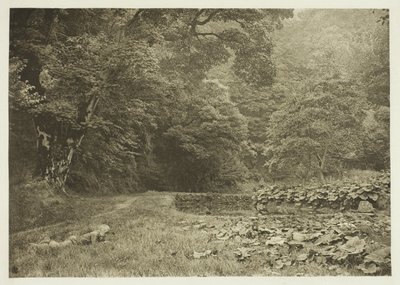 En lugn vrå i Beresford Dale av Peter Henry Emerson
