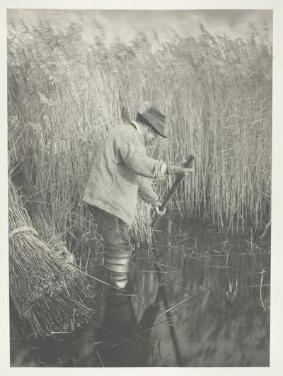 En vassskärare i arbete av Peter Henry Emerson