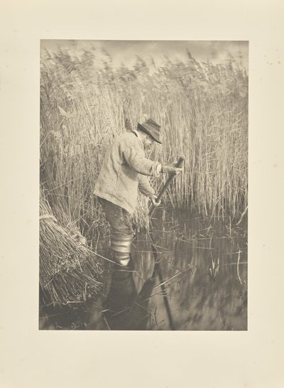 En vasskärare i arbete av Peter Henry Emerson