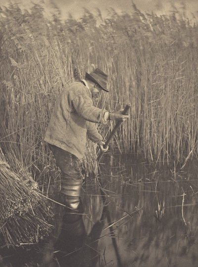 En vasskärare i arbete av Peter Henry Emerson