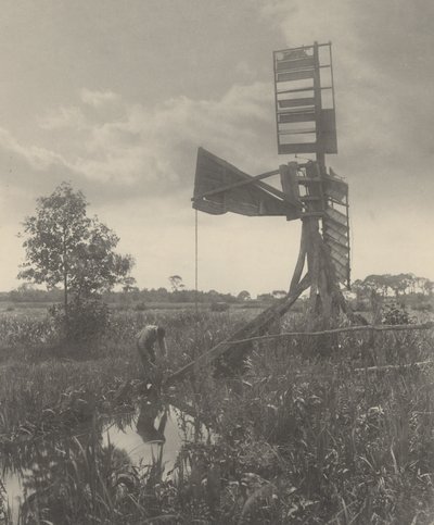 En förstörd vattenkvarn av Peter Henry Emerson