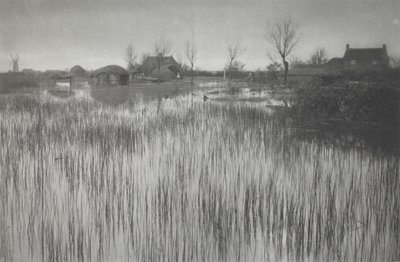En ruskig strand av Peter Henry Emerson