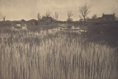 En ruskig strand av Peter Henry Emerson