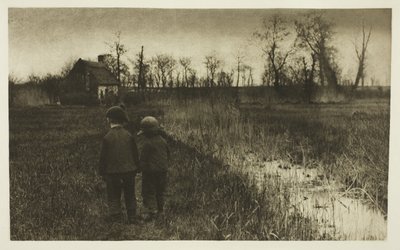 A Toad in the Path: Tidig vår i Norfolk av Peter Henry Emerson