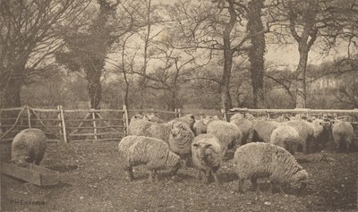 En höstpastoral av Peter Henry Emerson