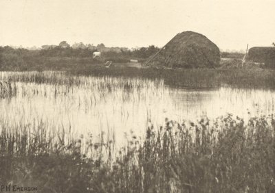 Översvämningar under hösten av Peter Henry Emerson