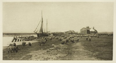 Blackshore, River Blythe (Suffolk) av Peter Henry Emerson