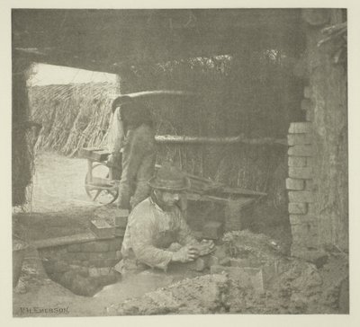 swedish av Peter Henry Emerson
