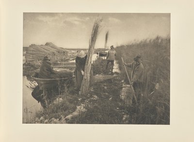 Under skörden av vass av Peter Henry Emerson